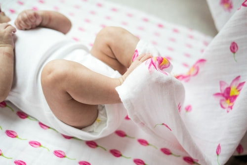 Organic Cotton Muslin Essential Baby Set